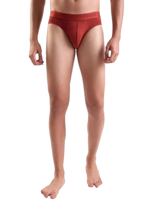 Park Avenue Maroon Regular Fit Briefs-picture-43