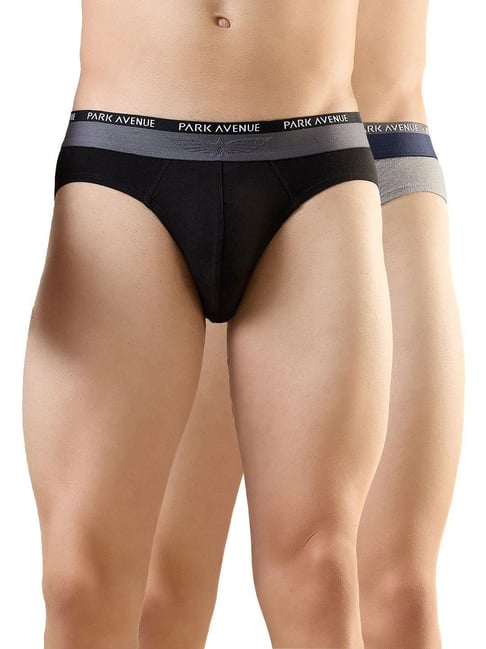 Park Avenue Multicolor Regular Fit Briefs - Pack of 2