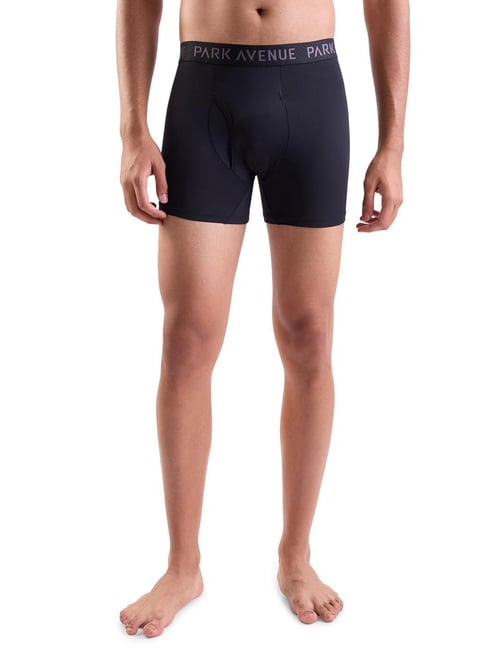 Park Avenue Black Regular Fit Briefs-picture-37