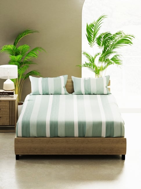 Bianca Home of Ora Blue Cotton Stripes 135 TC Double Flat Bedsheet with 2 Pillow Covers-picture-30