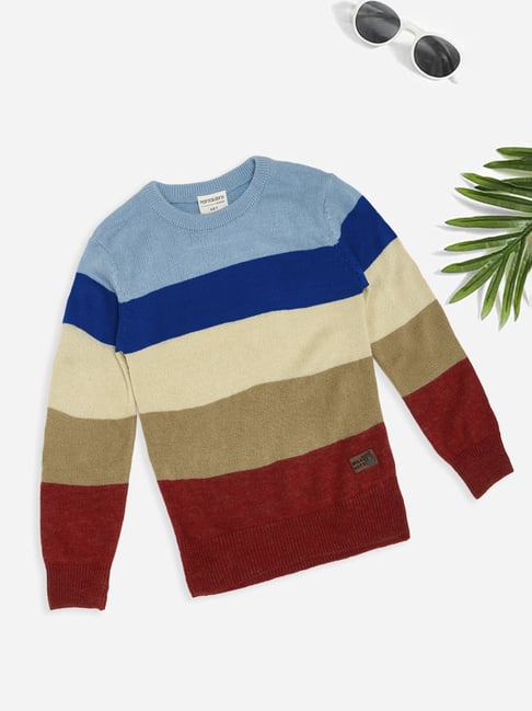 Pantaloons Junior Boys Clear Sky Color Block Sweater-picture-11