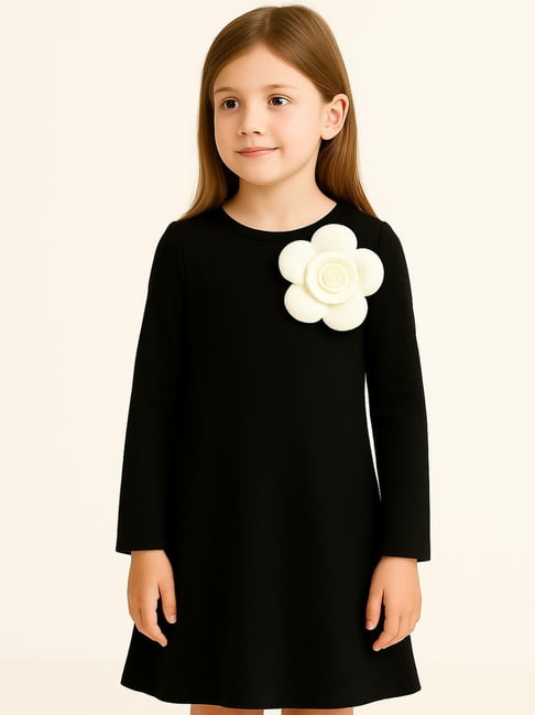 Zip Zap Zoop Girls Black Applique Dress-picture-18