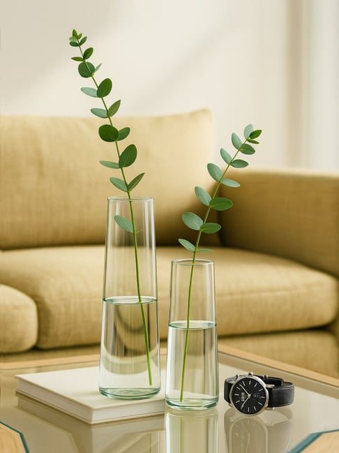 Transparent Glass Stem Vase