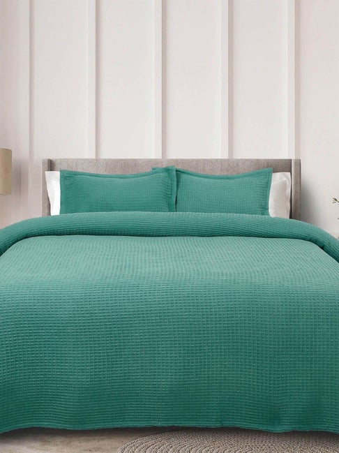 Rosara Home Teal 270 TC 1 Queen Bed Sheet & with 2 Pillow Cover-picture-38