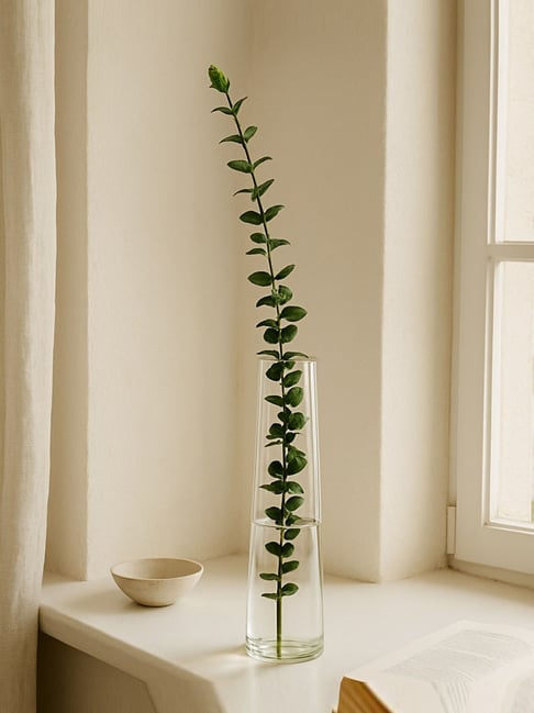 Transparent Glass Stem Vase