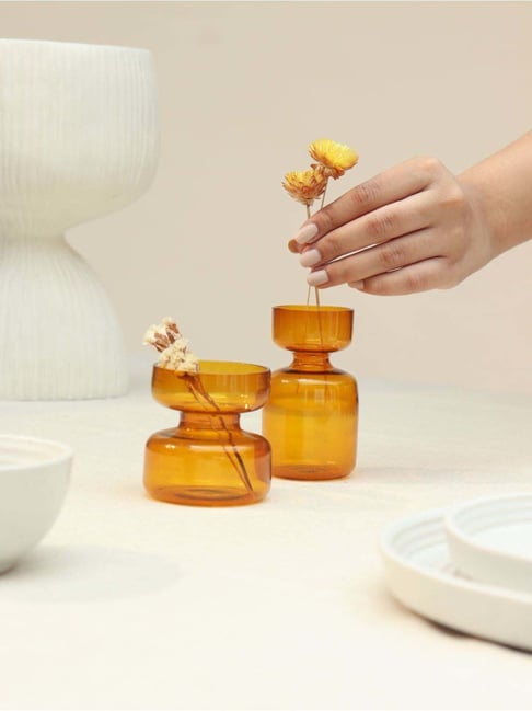 Muun Home Amber Glass Gift Set 2 Vase with Dried Flower