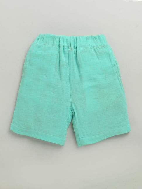 ZIP ZAP ZOOP Boys Green Cotton Shorts