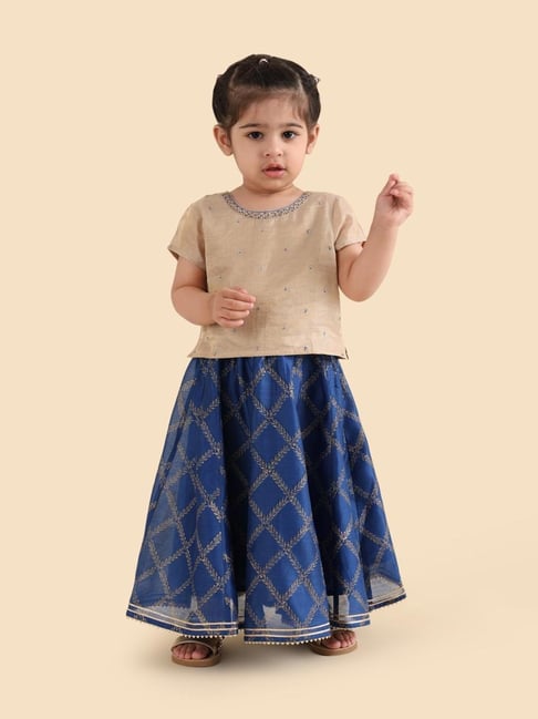 Fabindia Girls Blue Printed Lehenga Set-image-45