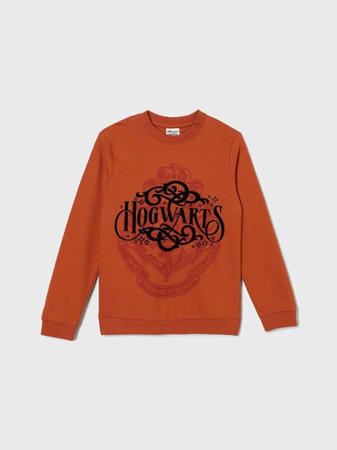 Fame Forever By Lifestyle Rust Cotton Regular Fit Printed Sweatshirt-picture-43