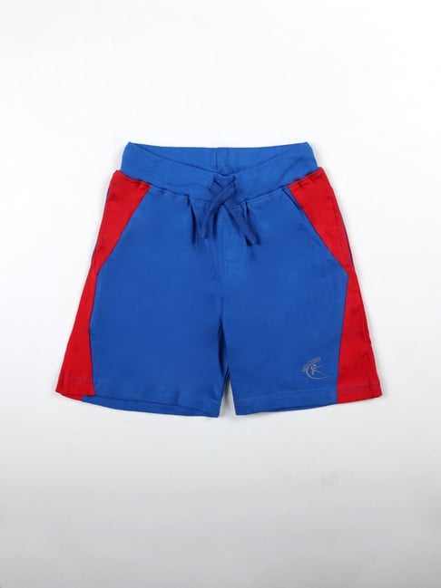 Kiddopanti Kids Royal Blue Color Block Shorts-picture-11