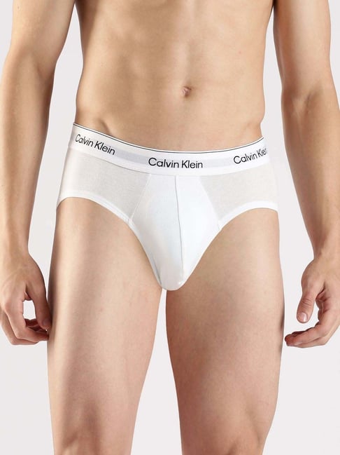 Calvin Klein Underwear Multicolor Cotton Regular Fit Briefs - Pack Of 3-picture-45