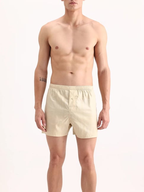 Rare Rabbit Beige Regular Fit Checks Boxers