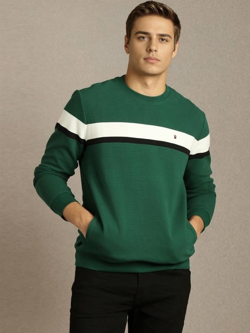 Louis Philippe Green Cotton Regular Fit Striped Sweatshirt-picture-39