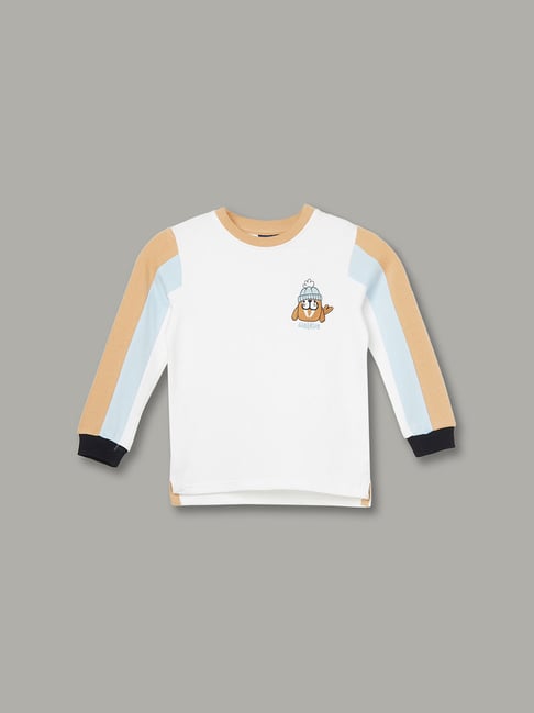 Juniors by Lifestyle Boys White Cotton Color Block Sweatshirt-picture-28