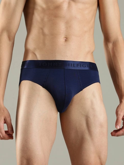 Tommy Hilfiger Navy Regular Fit Briefs-picture-36