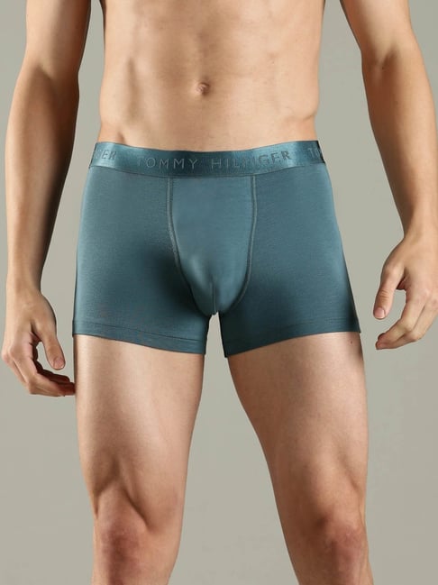 Tommy Hilfiger Teal Regular Fit Trunks-picture-44