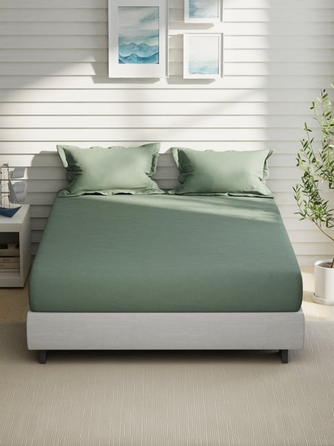 Nautica Moss Cotton Abstract 160 TC King Bedsheet with 2 Pillow Covers-picture-36