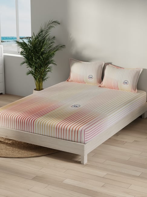 Nautica Red & Yellow Cotton Striped 500 TC King Bedsheet with 2 Pillow Covers-image-3