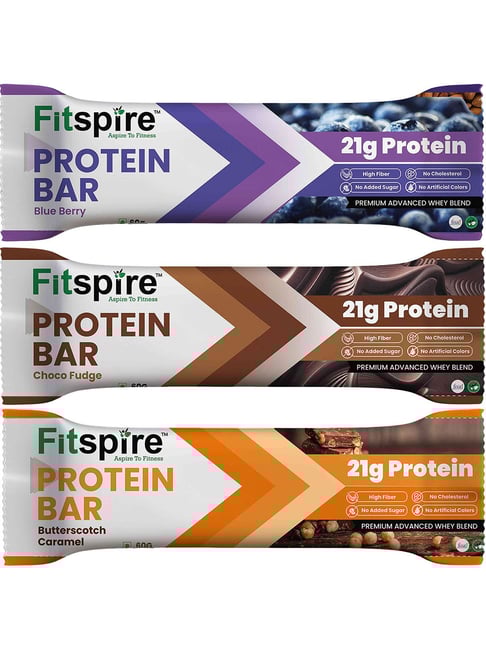 Fitspire ChocoFudge, Butterscotch&Blueberry Protein Bar (Pack of 3) Each 60g and Provide 21g protein