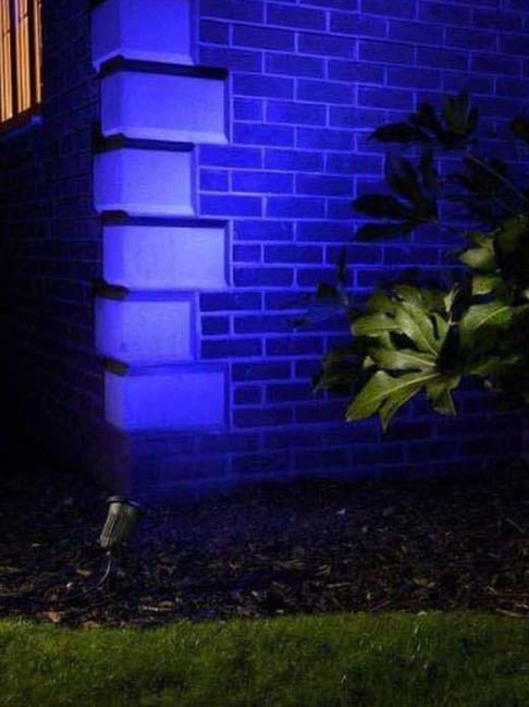 SPARK WORLD Black Home Decorative Light