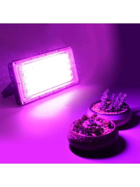 SPARK WORLD Pink Home Decorative Light