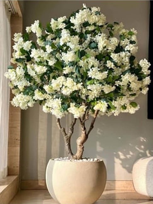 Mason Home Artificial White Blossom Plant - 6 Feet (With Pot) - (Set of 1)