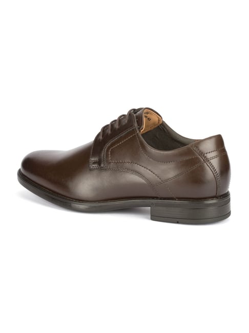 Buy Florsheim Men's Deborah Brown Derby Shoes at Best Price @ Tata