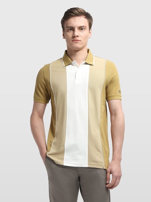 Arrow Sport Yellow Regular Fit Striped Polo T-shirt-picture-22