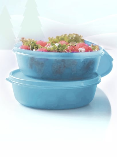 Tupperware Plastic Fridge Container - 1 L (Pack Of 2, Blue)