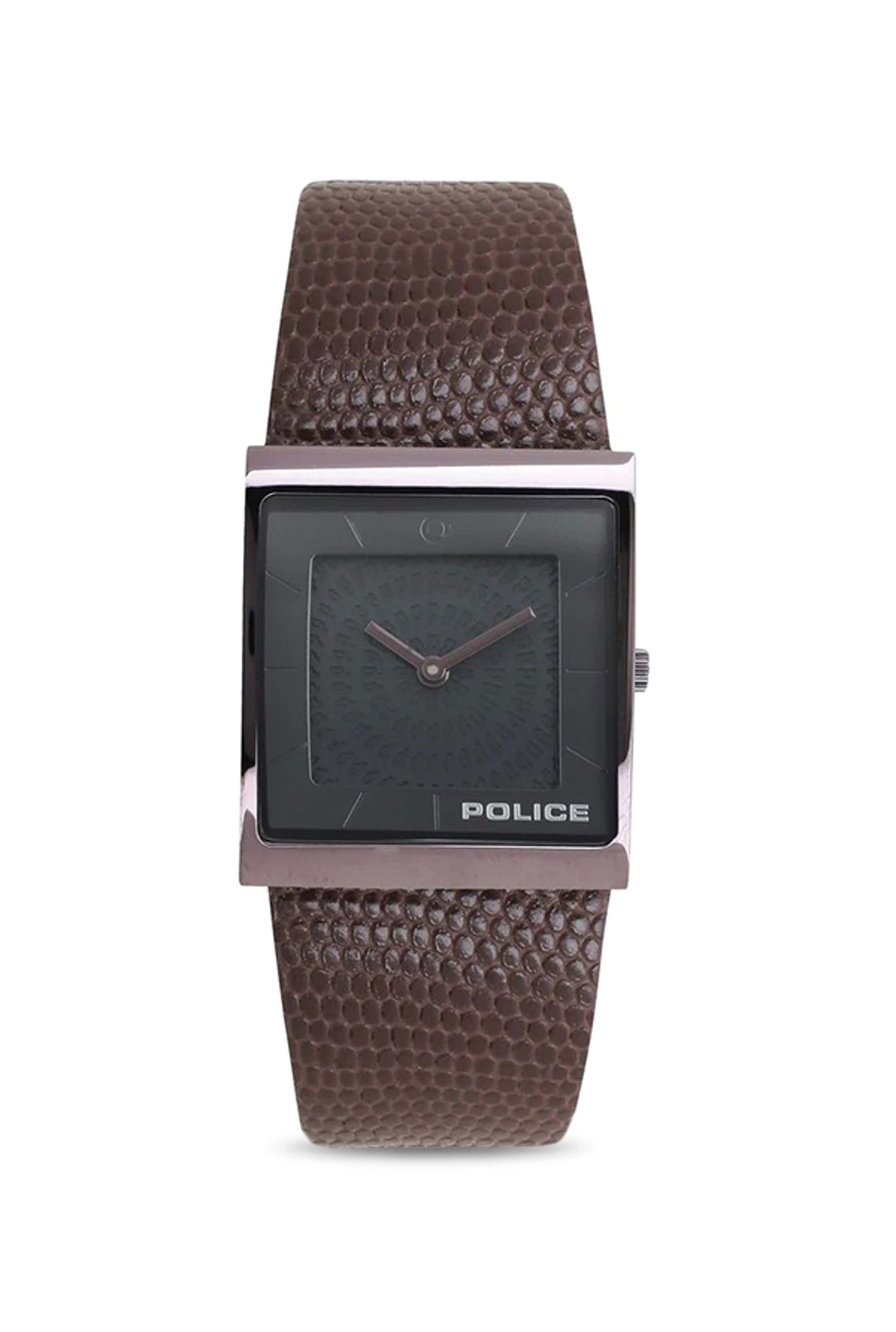 police company watch