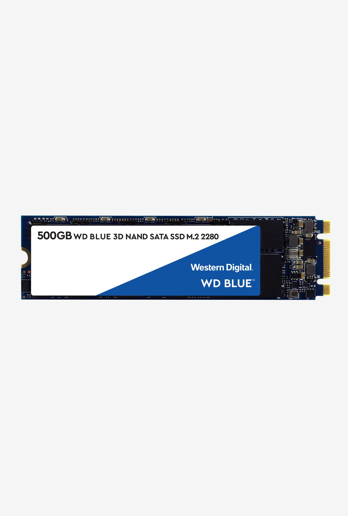Buy WD WDS500G2B0B 3D NAND 500 GB Solid State Drive (Blue) Online