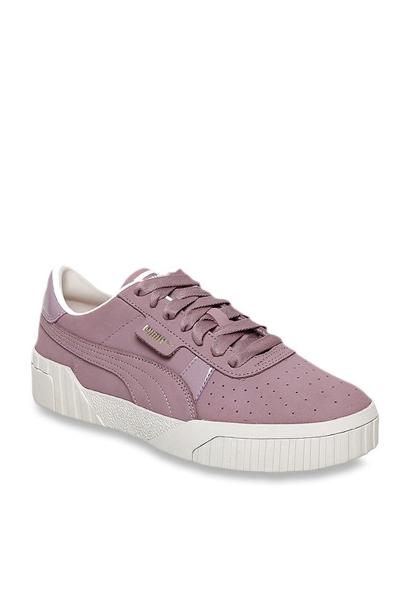 puma cali elderberry