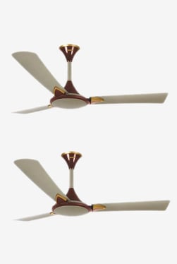 Fans Upto 40 Off Buy Ceiling Fans Table Fans Online At Best
