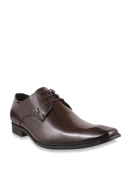 Buy Mochi Brown Derby Shoes for Men at Best Price @ Tata CLiQ