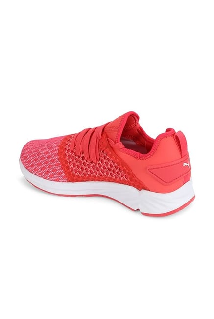 Speed Ignite Puma Ignite Netfit Women\u0026#039;s Running Shoes Puma Ignite  Netfit Womens Navy Running Shoes UK