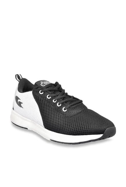 allen cooper sports shoes price