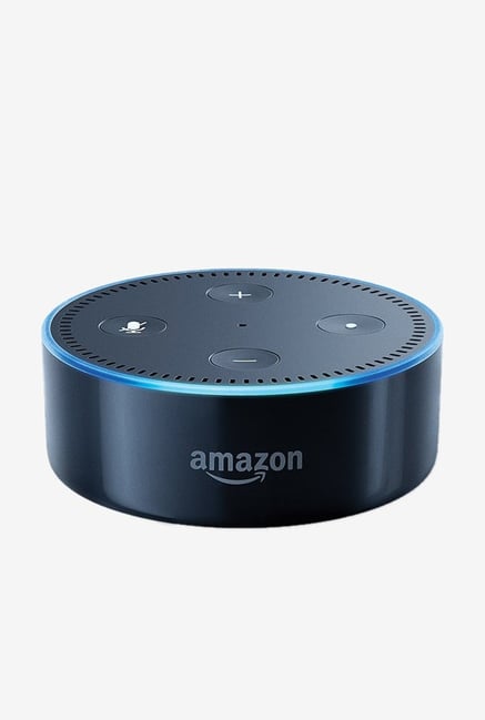 does echo dot work with bluetooth speakers