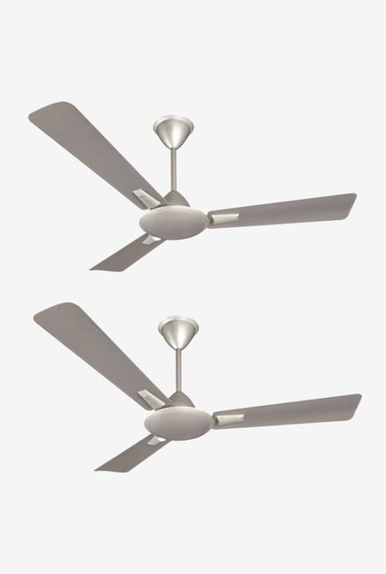 Buy Crompton Anti Dust 1200 Mm 3 Blades Ceiling Fan Online At