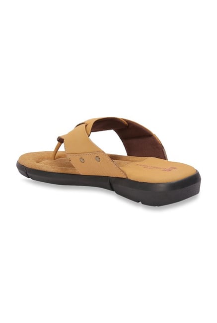 red chief shoes camel