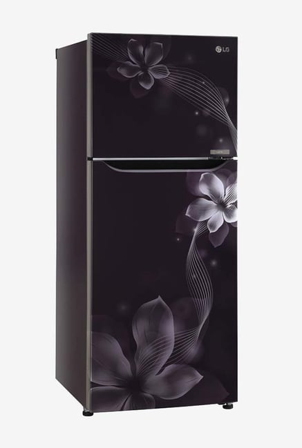 Lg Gl N292spor 260 L Inverter 2 Star Double Door Refrigerator Lg Gl N292spor 260 L Inverter 2 Star Frost Free Double Door Refrigerator Purple