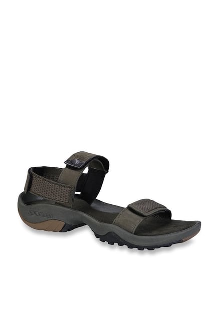 mens sandals tata cliq