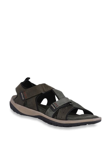 WOODLAND BROWN BASIC SANDAL in Mumbai at best price by Nikhat Footwear -  Justdial