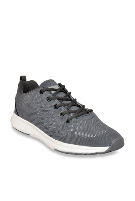 allen cooper sports shoes price