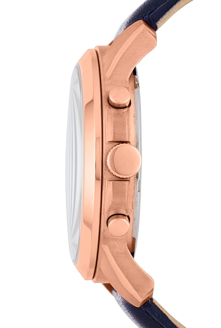 fossil grant analog