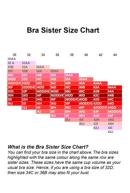 enamor sports bra size chart