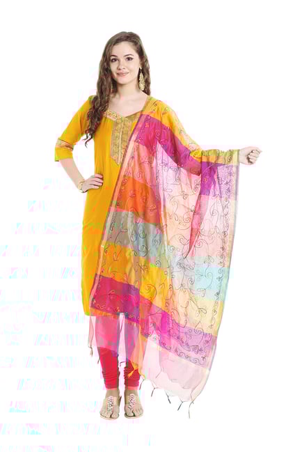 Dupatta Bazaar Multicolored Dupatta