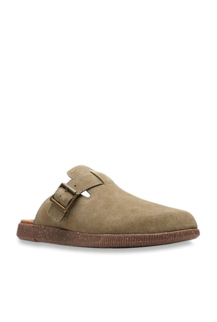 clarks vine birch