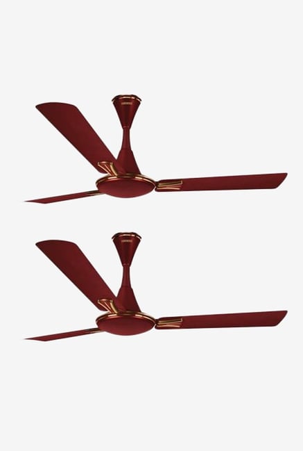 Buy Luminous Audie 1200 Mm 3 Blades Ceiling Fan Berry Red