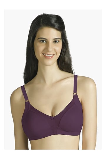 Buy Amante Purple Non Wired Non Padded Seamless Bra for Women Online @ Tata  CLiQ