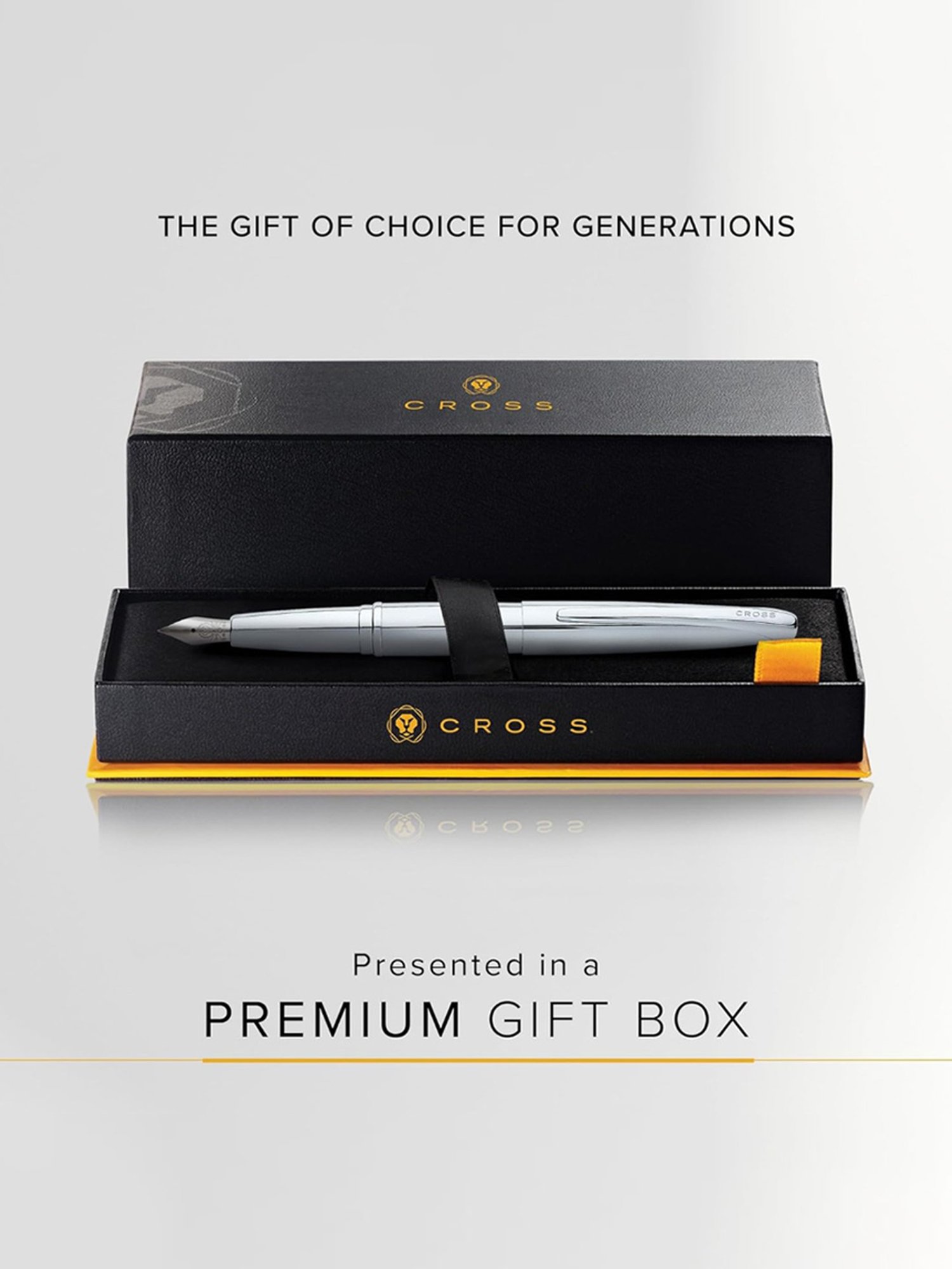 銀　記念　30g×2枚 Buy Cross Silver Fountain Pen Online At Best Price @ Tata CLiQ